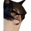 cast-mask-batman-gal