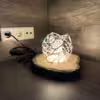 cell-lamp-gal3
