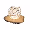 cell-lamp-port
