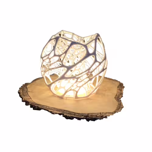 cell-lamp-port
