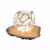 cell-lamp-port