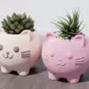 cat-planter-gal