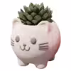 cat-planter-port