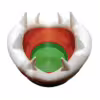 macetero-piranha-3