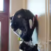 helmet-wall-mount-D03-2